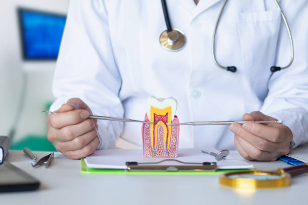 Best Knocked-Out Tooth (Avulsed Tooth) Treatment in Poinciana, FL